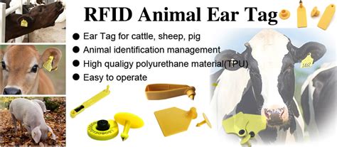 safety of rfid tags in animals|animal identification ear tags.